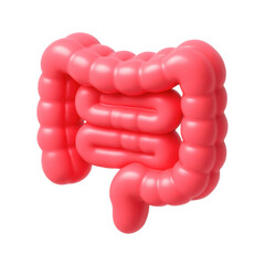 Poster - 3d icon of a human intestine in a plastic style, showcasing detailed anatomy and vibrant colors for educational and medical purposes