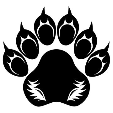 Animal paw print silhouette with claw marks, scratches, talons cuts cat, tiger, dog, lion, monster isolated on white background.