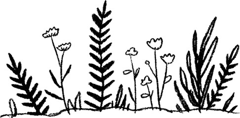 Fototapete - Hand drawn sketch of natural border with fern fronds and flowers for design