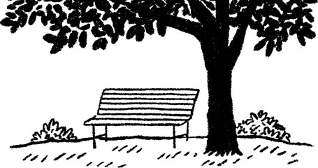 Fototapete - Tranquil park bench beneath shady tree sketch for relaxing nature design