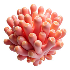 Poster - Stylized coral formation illustration in coral pink with smooth rounded shapes and subtle highlights, a vibrant design isolated on a transparent background