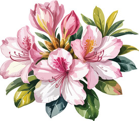 Poster - A watercolor painting of pink azalea flowers with green leaves art