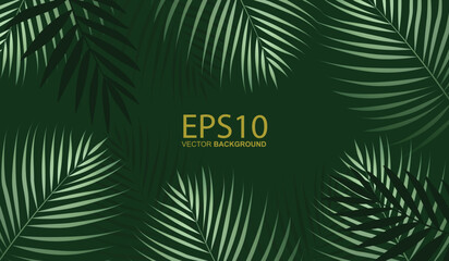 palm tree leaves background