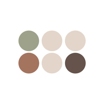color palette on white background