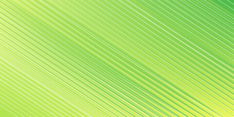 Fototapete - Green abstract background with curve stripes line for backdrop or presentation