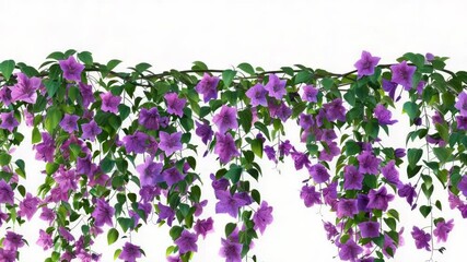 Poster - A cluster of lavender flowers sways gently in the breeze, suspended from a sturdy tree branch