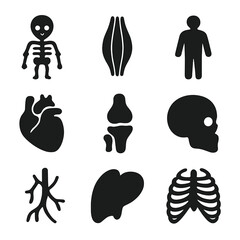 Poster - Anatomy Icon Collection. Solid, filled icon set of anatomy illustration: skeleton, muscle structure, body outline, heart icon,