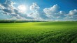 ©  Hand Robot_07 - Vivid green field extends to the horizon beneath a brilliant blue sky dotted with fluffy white clouds, creating a serene and idyllic farmland vista under the summer sun.