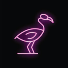 Poster - Neon ibis bird glowing on black background, concept for nightlife, party, club, bar, zoo, animal, wildlife