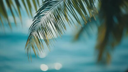 Poster - Tropical paradise: soft light and sparkle on the water through lush green palm trees. Footage for vacation, travel and serenity. Perfect for summer holidays and tropical themes.