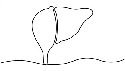 Poster - One continuous line drawing of human liver organs. Single continuous line drawing of liver anatomy. illustration of liver anatomy concept. Hand Drawn Symbol Vector Illustration.