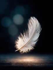 Poster - Elegant white feather floating in midair with soft glowing background and bokeh lights, close-up macro shot of bird feather for nature design