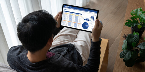 Poster - Spreadsheet document information financial startup concept. data and graphs in spreadsheet documents for online analysis project dashboard accounting digital snugly