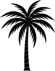 Poster - Minimal black silhouette of a tropical palm tree isolated on transparent background