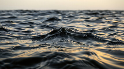 Wall Mural - Image captures serene view of water with gentle waves reflecting soft light, creating calming atmosphere