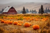 Autumn pumpkin patch with rustic barn and misty hills in the background