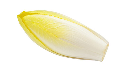 Poster - Fresh endive head displaying its pale yellow and white leaves detail