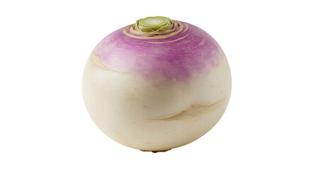 Poster - Fresh turnip with purple and white skin on a dark background close up