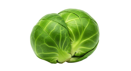 Poster - Pair of fresh green brussels sprouts exhibiting natural textures and details
