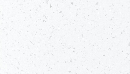 Leinwandbilder - White terrazzo background with
