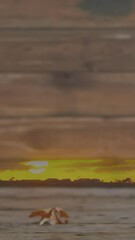 Poster - Animation of landscape over leaves on wooden background