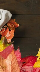 Poster - Animation of autumn leaves over thanksgiving dinner place setting background