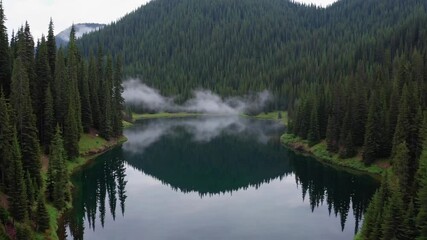 Poster - Misty mountain lake with dense evergreen forest, tranquil water reflection, serene landscape, peaceful morning, natural beauty, mist, calm atmosphere