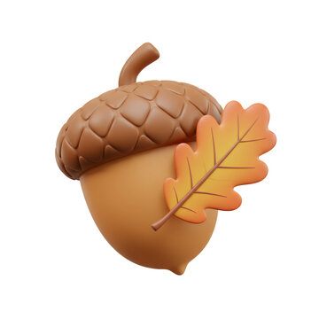 3D Rendered Acorn with Oak Leaf on Transparent Background