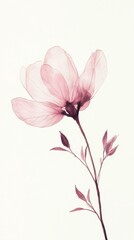 Aufkleber - Delicate flower illustration on white background