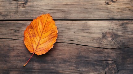 Aufkleber - Autumnal leaf lying flat on rustic wooden surface outdoors