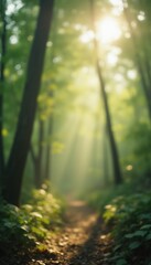 Poster - Serene forest path surrounded by lush trees and foliage