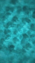 Poster - Abstract blue cells animation, resembling microscopic biological structures