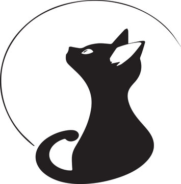  Cat vector art