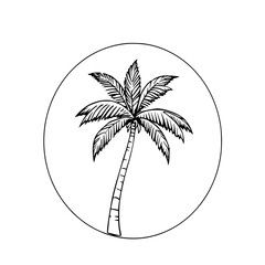 Poster - Palm Tree in Circle: A simple line art illustration depicts a single palm tree within a circular frame, showcasing its elegant silhouette against a white backdrop.