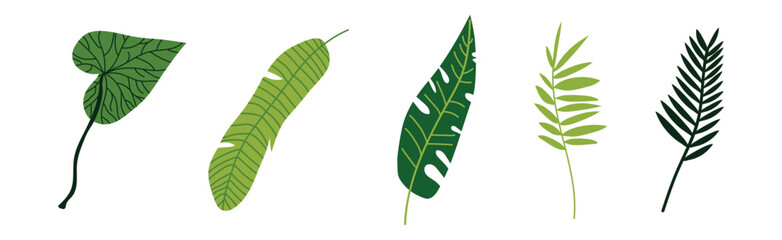 Poster - Green Tropical Leaf and Jungle Foliage Vector Set