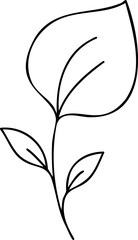Wall Mural - Simple outline illustration of a plant stem with three leaves scalable