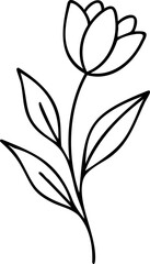 Wall Mural - Simple line illustration of a tulip flower with leaves scalable illustration