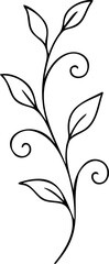 Wall Mural - Elegant black vine with leaves and swirls illustration scalable
