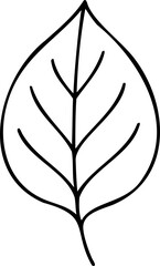 Wall Mural - Black outline of a single leaf with veins illustration