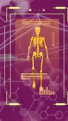 Poster - Animation of human body scanning and scientific data processing