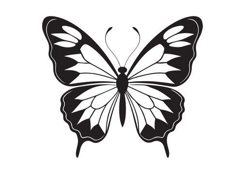 Butterfly Silhouette, Butterfly Vector Illustration