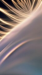 Wall Mural - Abstract wave shape in soft side light