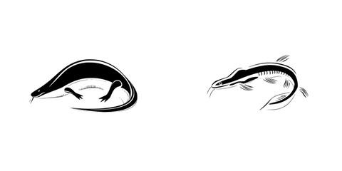 Poster - Silhouette pictogram icons of eel species illustrating different shapes and swimming movements in black and white
