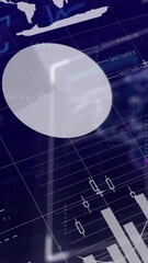 Poster - Animation of charts and graphs over digital interface processing data