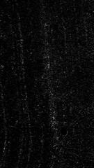 Poster - Animation of white spots moving on black background