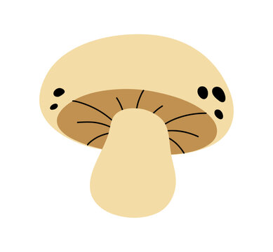 Champignon. Mushroom in flat style.
