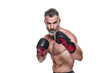 © Elena - focused boxer ready to fight with boxing gloves on isolated on white background