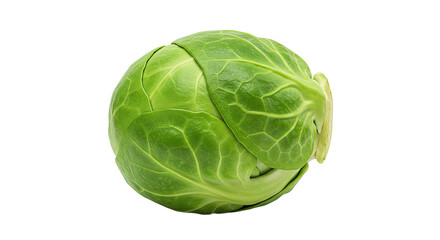 Poster - Close-up studio shot of a fresh, vibrant green Brussels sprout on a black background