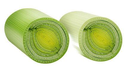 Poster - Cross Section of Two Fresh Leeks, Detailed View