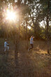 © Austockphoto - Brother and sister walking through paddock in afternoon light